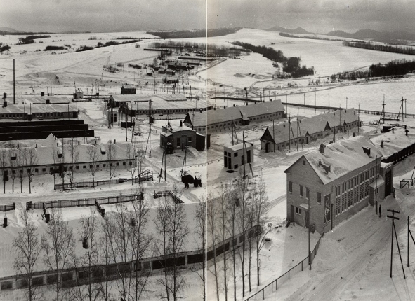 Животноводческий комплекс Краснореченского совхоза. Хабаровск, 1976 год